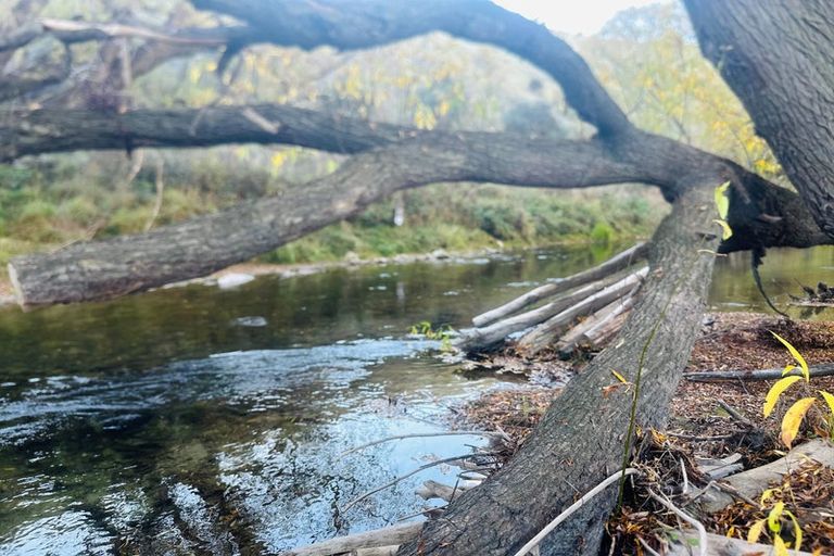 Photo of property in 779 Ardgour Road, Tarras, Cromwell, 9383