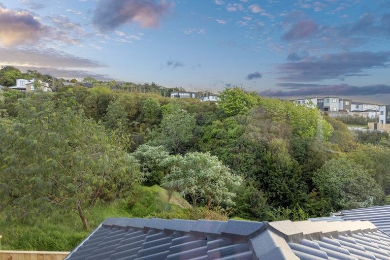 Photo of property in 3 Ripa Street, Flat Bush, Auckland, 2019