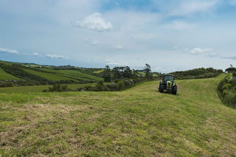 Photo of property in 74 Karahiwi Lane, Dairy Flat, 0794