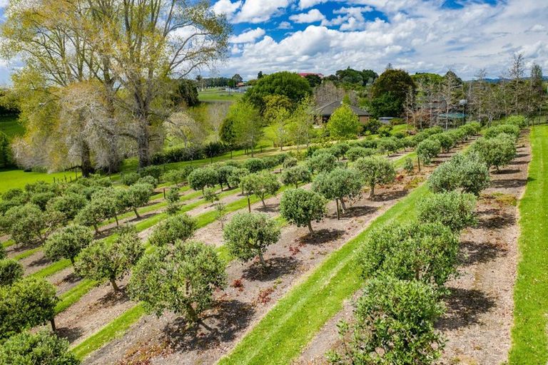 Photo of property in 64 Matakohe Road East, Matakohe, 0593