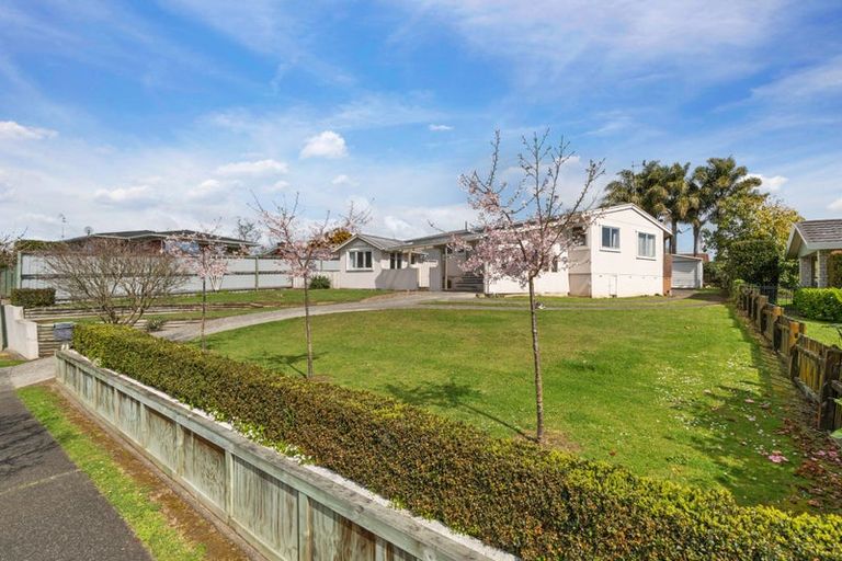 Photo of property in 29 Seales Road, Morrinsville, 3300