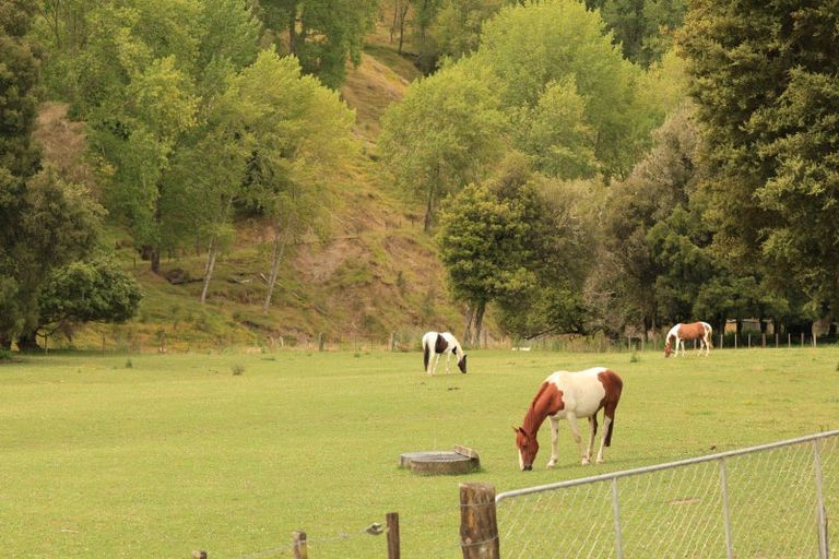 Photo of property in 1084 Kanakanaia Road, Whatatutu, Te Karaka, 4091