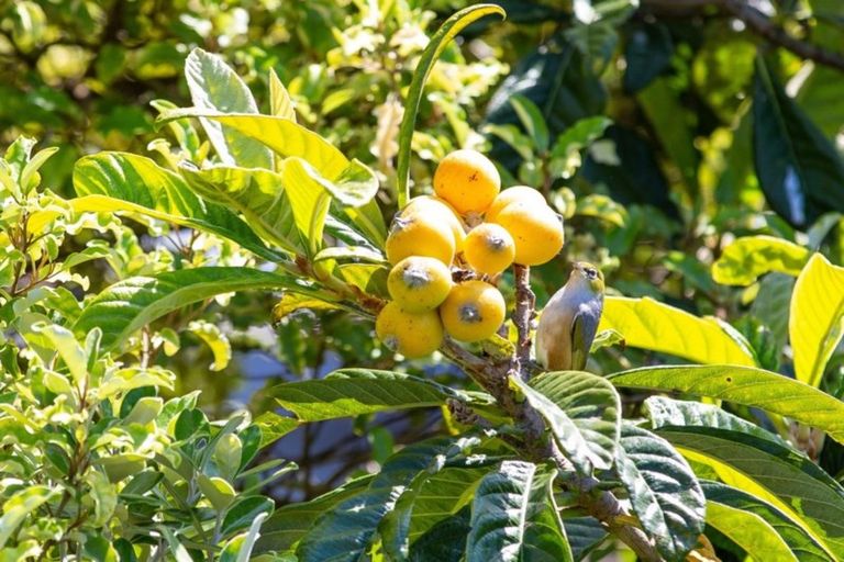 Photo of property in 1a Rakaunui Street, Raglan, 3297