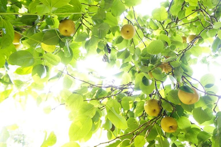 Photo of property in 49 Dodson Road, Takaka, 7183