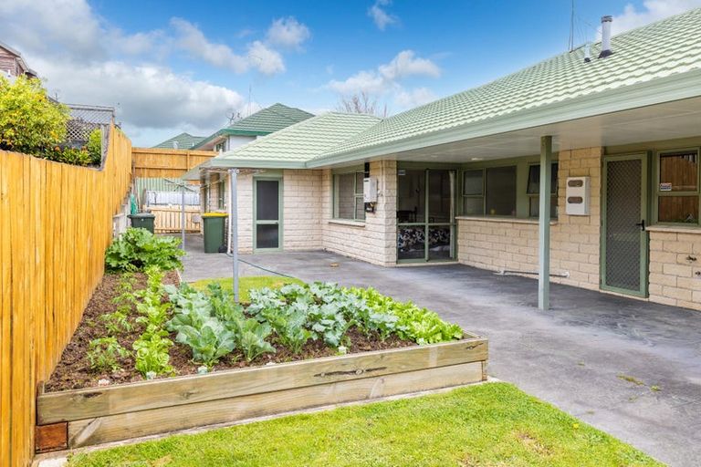 Photo of property in 49 Western Heights Drive, Western Heights, Hamilton, 3200