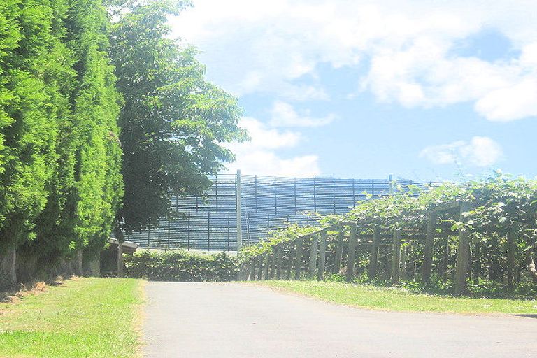 Photo of property in 78 Dudley Vercoe Drive, Te Puke, 3182