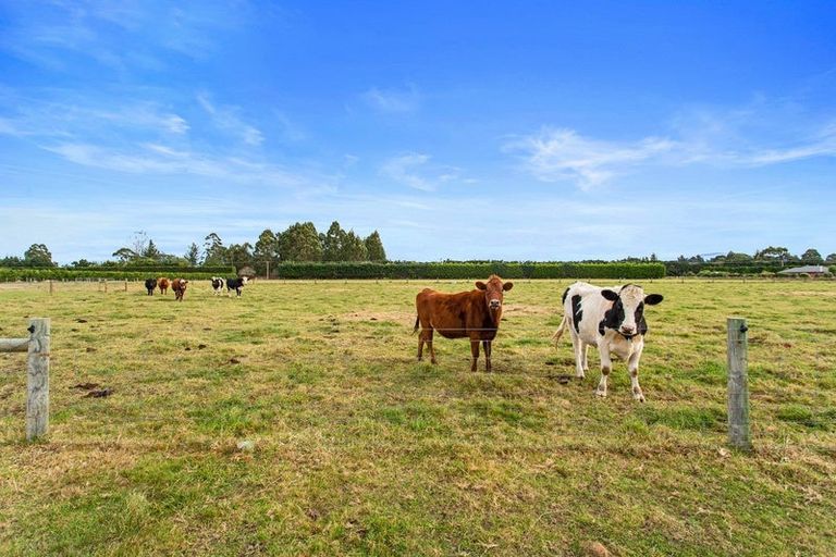 Photo of property in 174 Swamp Road, Loburn, Rangiora, 7472