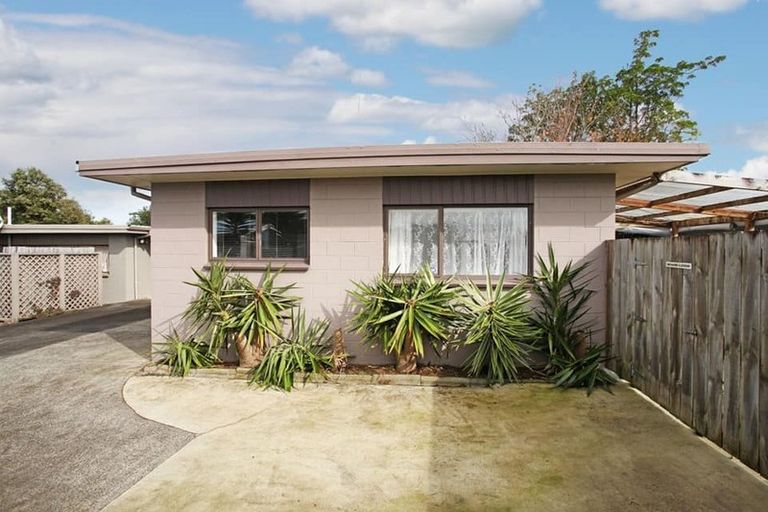Photo of property in 17a Hooper Avenue, Pukekohe, 2120