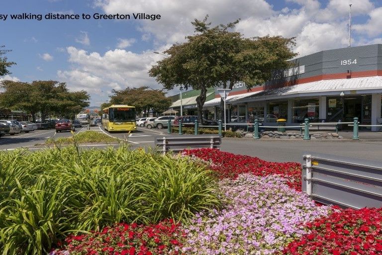 Photo of property in 77 Hynds Road, Gate Pa, Tauranga, 3112