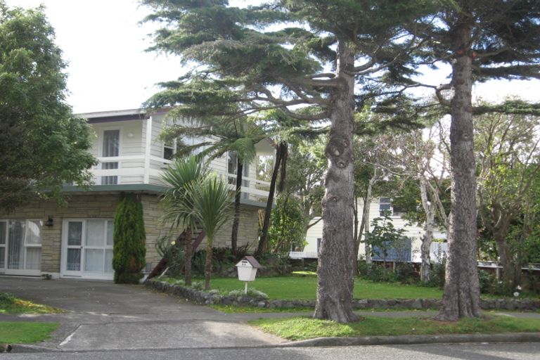 Photo of property in 49 Orr Crescent, Hutt Central, Lower Hutt, 5011