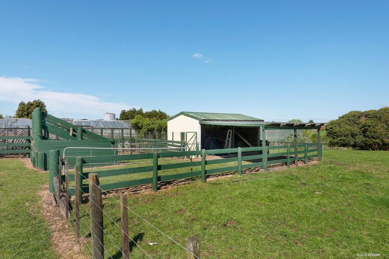 Photo of property in 218 Buckville Road, Buckland, Pukekohe, 2677