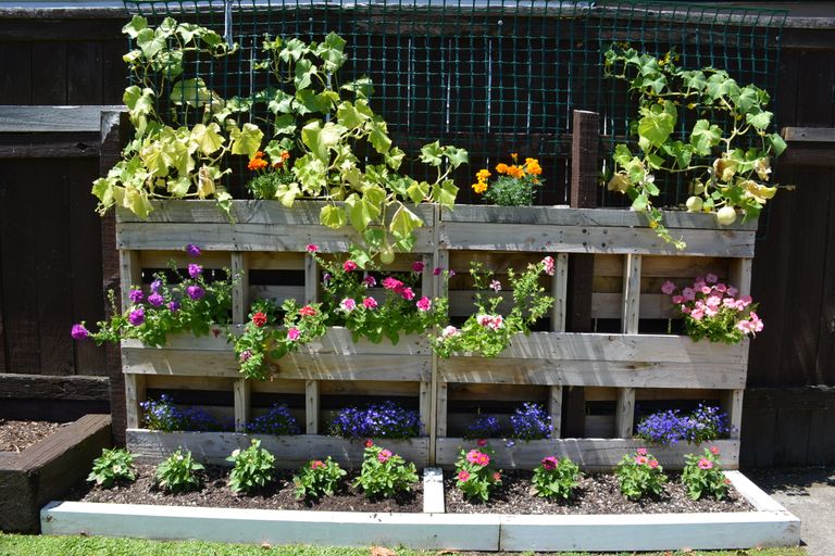 Photo of property in 72 Newall Street, Kawerau, 3127