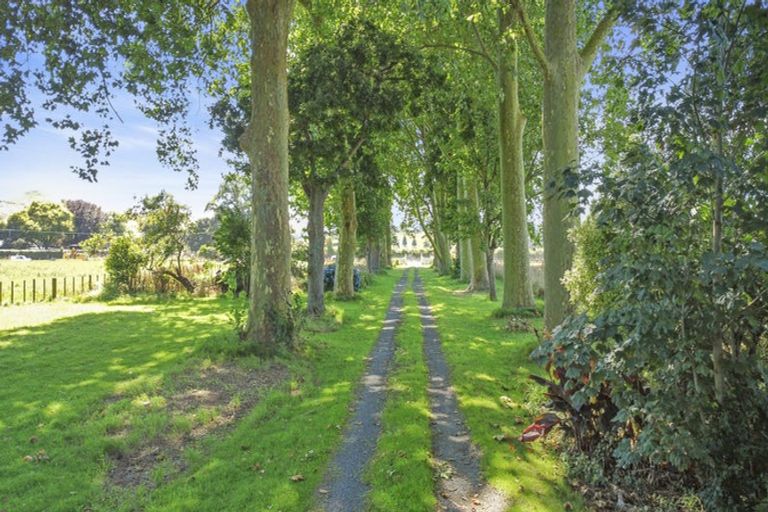 Photo of property in 1295 Tauwhare Road, Eureka, Hamilton, 3287