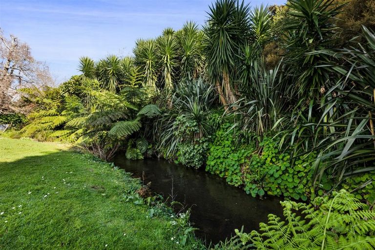 Photo of property in 50/50a Gaine Street, New Plymouth, 4310