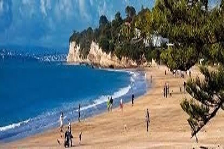 Photo of property in Frank Sargeson Apts, 502/80 Anzac Street, Takapuna, Auckland, 0622