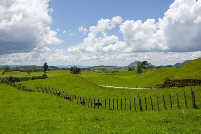 Photo of property in 148 Marotiri Road, Marotiri, Mangakino, 3492