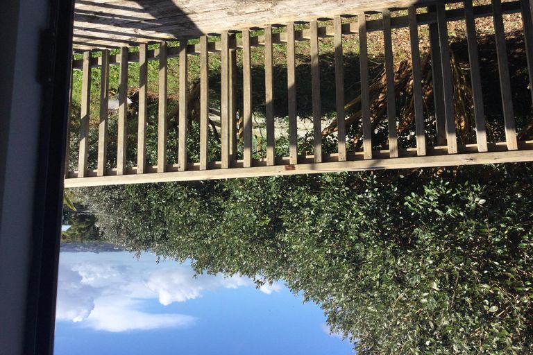 Photo of property in 255 Rodney Street, Wellsford, 0900