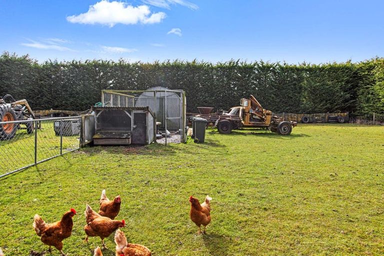 Photo of property in 843 Mandeville-kingston Crossing Road, Riversdale, Gore, 9776