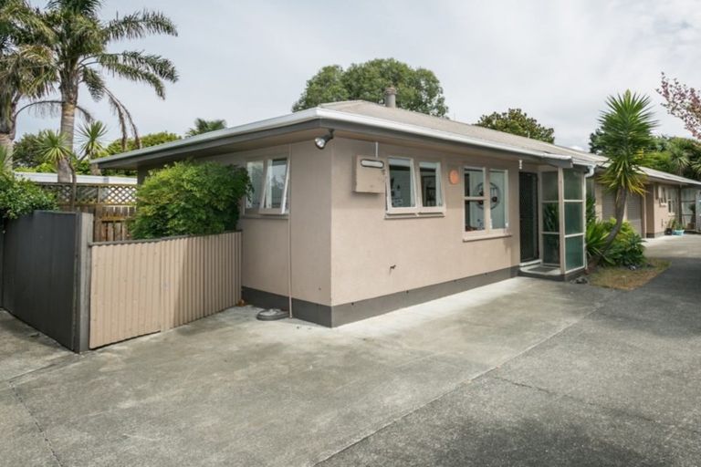 Photo of property in 51a Mcgrath Street, Napier South, Napier, 4110