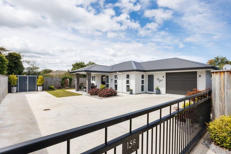 Photo of property in 15b Chamberlain Street, Feilding, 4702