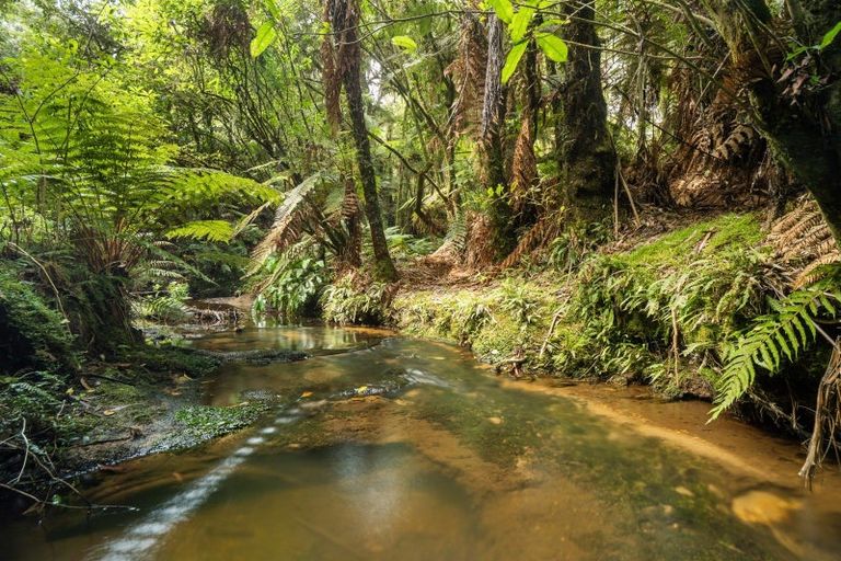 Photo of property in 217 Soldiers Road, Lower Kaimai, Tauranga, 3171