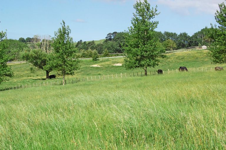 Photo of property in 54 Rangiora Road, Kaiwaka, 0573