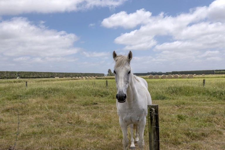 Photo of property in 2144 Wards Road, Charing Cross, Darfield, 7571