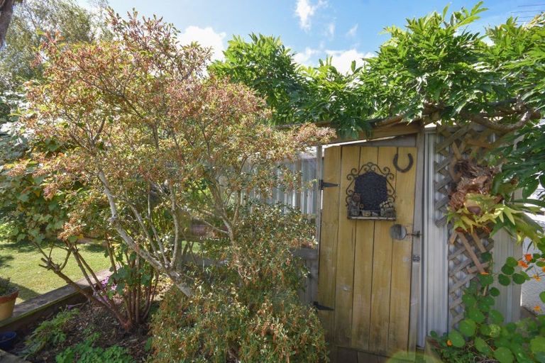 Photo of property in 53 Signal Hill Road, Opoho, Dunedin, 9010