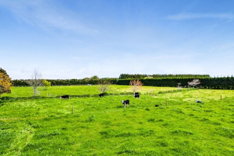 Photo of property in 484 Corbett Road, Lepperton, New Plymouth, 4373