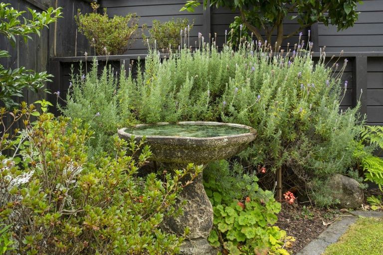 Photo of property in 61 Glenmonarch Place, Pyes Pa, Tauranga, 3112