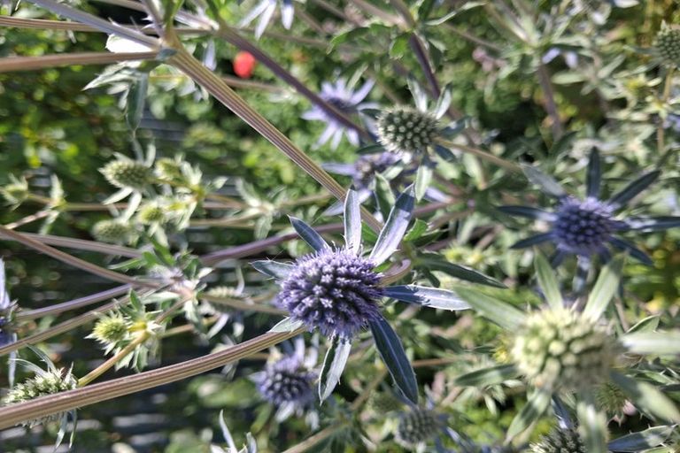 Photo of property in 5 Seafront Road, Castlecliff, Whanganui, 4501