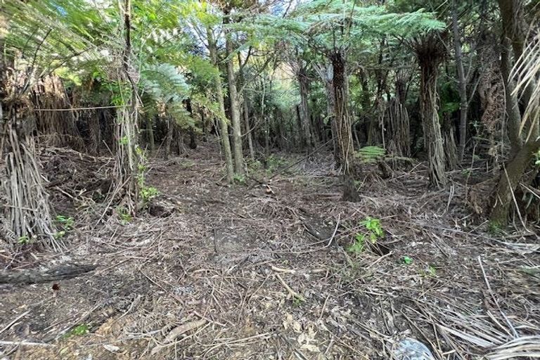 Photo of property in 211 Krippner Road, Puhoi, Warkworth, 0994