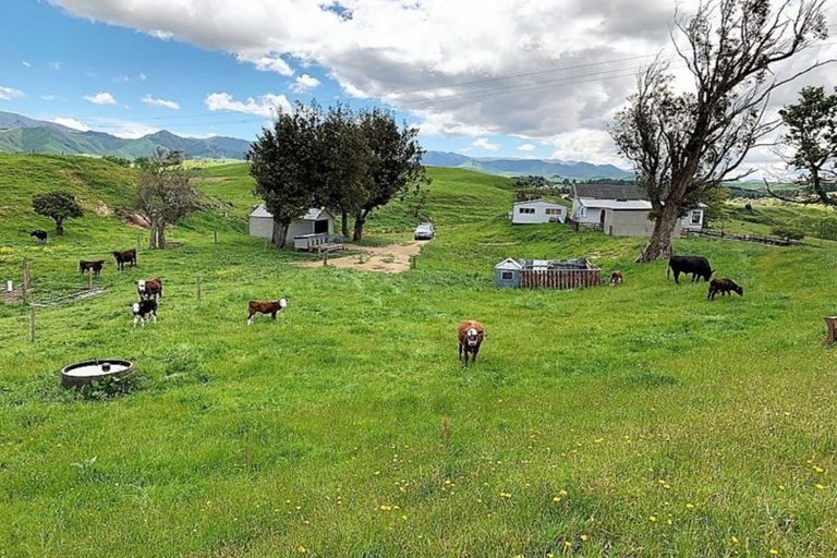 Photo of property in 395 Tataramoa Road, Matamau, Dannevirke, 4977