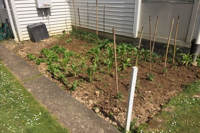 Photo of property in 21 Walker Terrace, Dinsdale, Hamilton, 3204