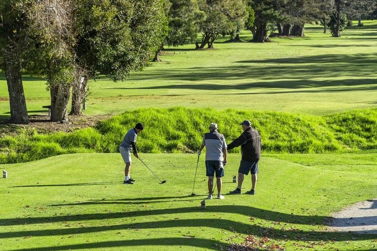 Photo of property in 56a Wairoa Road, Narrow Neck, Auckland, 0624