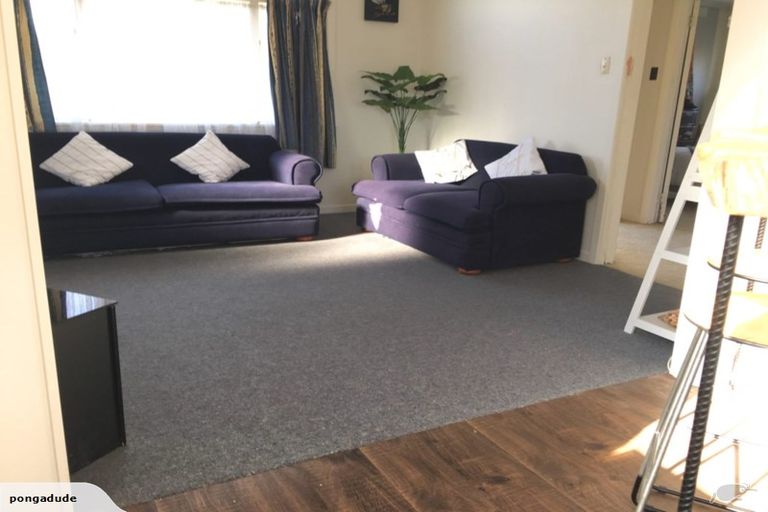 Photo of property in 81 Parker Avenue, Levin, 5510