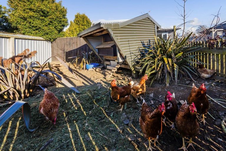 Photo of property in 57 Fenton Street, Stratford, 4332