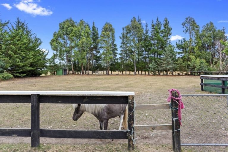 Photo of property in 339 Main Race Road, Eyrewell, Rangiora, 7476