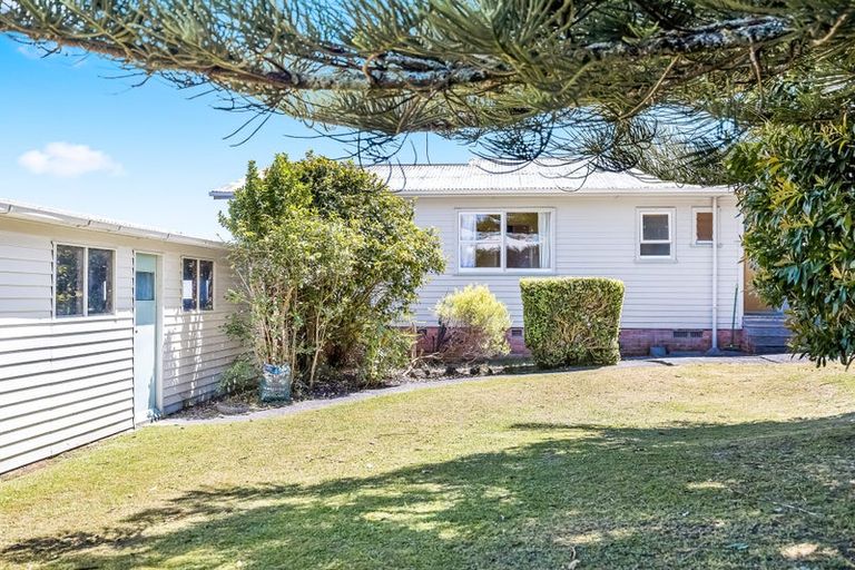 Photo of property in 29 Kaikoura Street, Henderson, Auckland, 0612