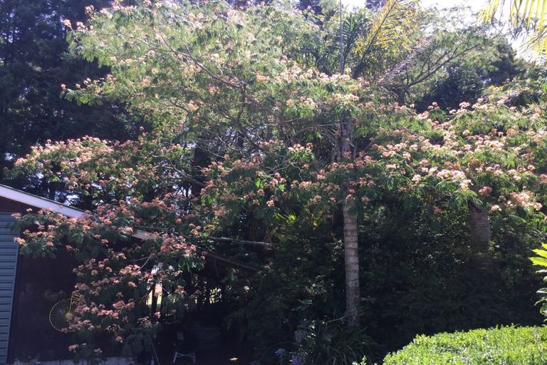 Photo of property in 88 Te Pua Road, Kaikohe, 0472