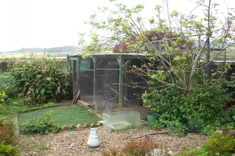 Photo of property in 148 Russell Road, Huntly, 3700