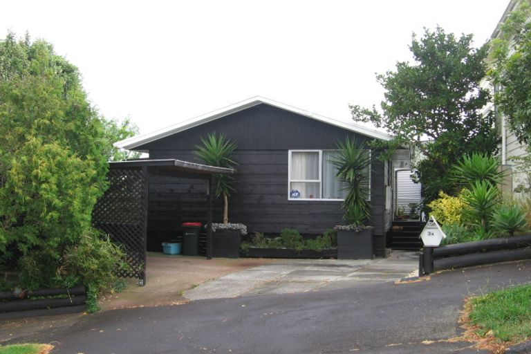 Photo of property in 3 Alexander Street, Kingsland, Auckland, 1021