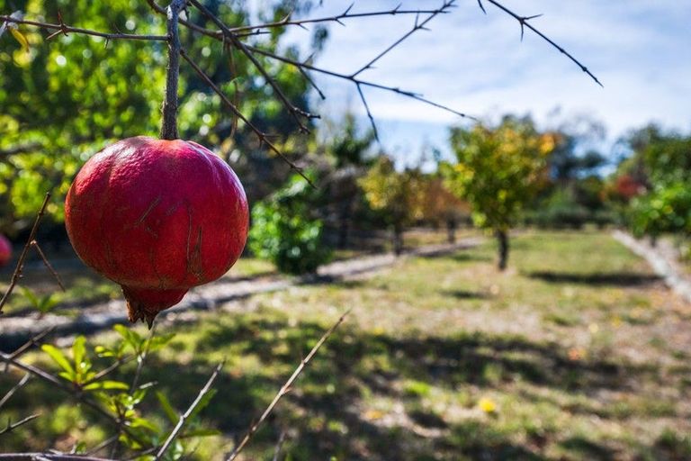Photo of property in 50 Pipitea Drive, Rarangi, Blenheim, 7273