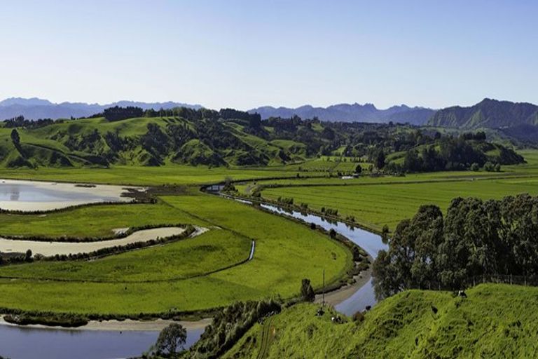 Photo of property in 137 Ohiwa Beach Road, Waiotahe, Opotiki, 3198