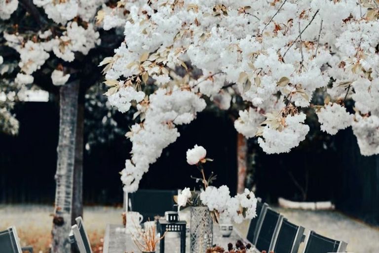 Photo of property in 24 Date Crescent, Aidanfield, Christchurch, 8025