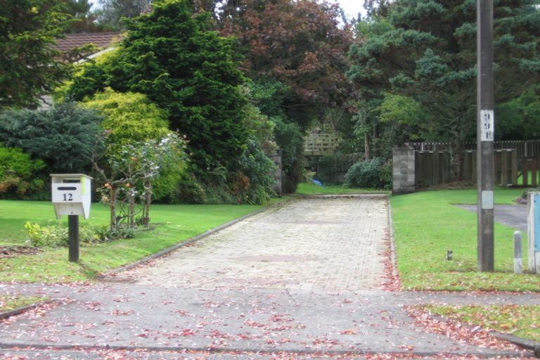 Photo of property in 12 Kensington Street, Tokoroa, 3420