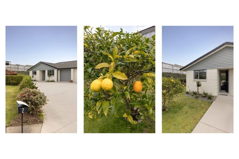 Photo of property in Waterview Estate, 2/4 Greystone Place, Omokoroa, 3114