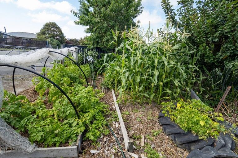 Photo of property in 46 Grove Street, Tinwald, Ashburton, 7700