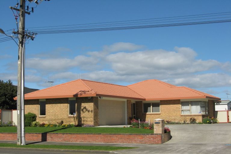 Photo of property in 176 Bath Street, Levin, 5510