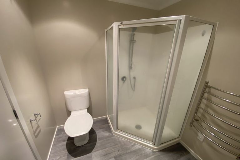 Photo of property in 223c Peachgrove Road, Claudelands, Hamilton, 3214